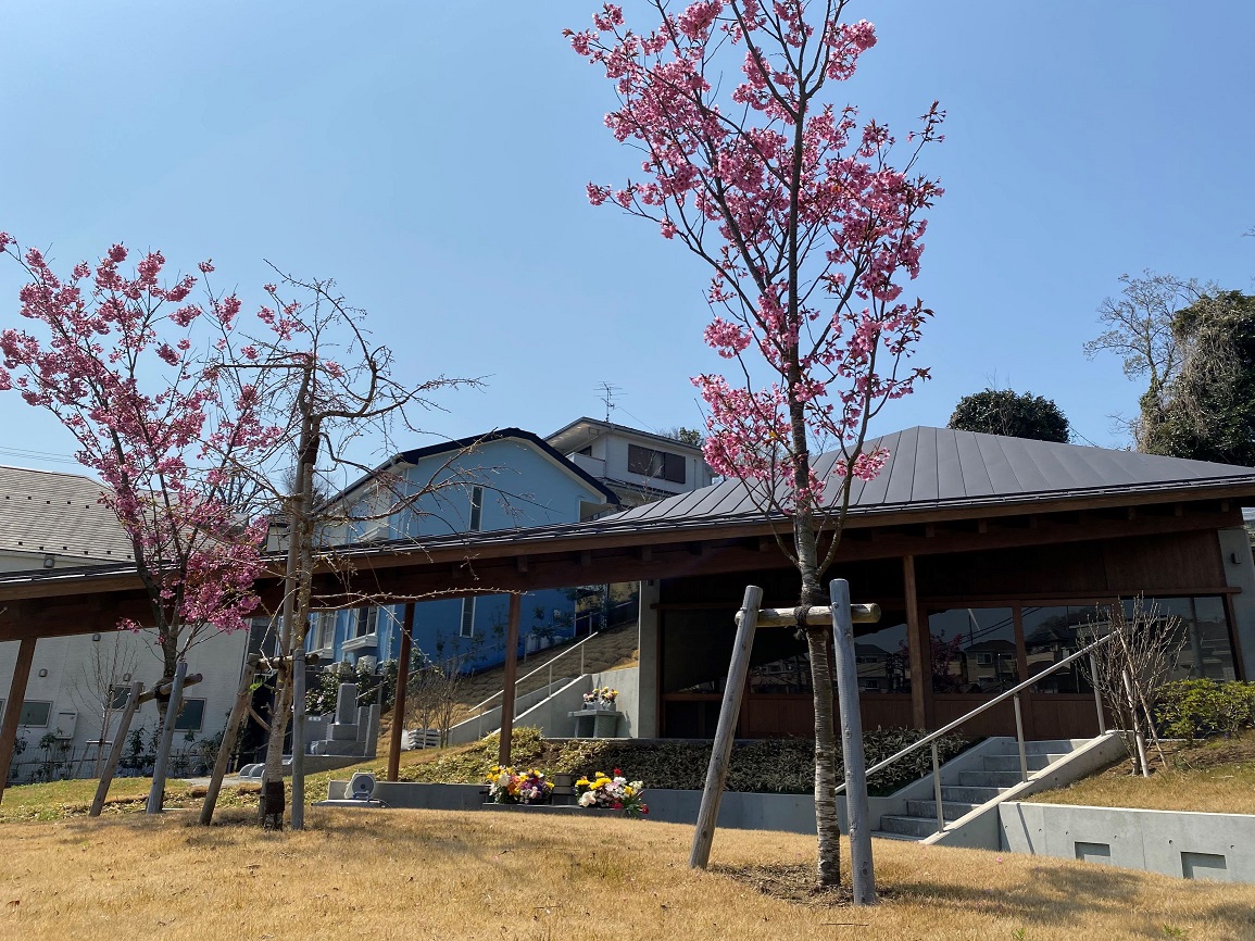 本覚寺の森観音霊園桜の墓