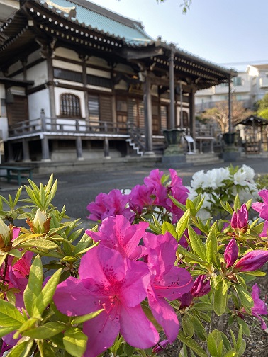 天台宗本覚寺境内令和2年五月